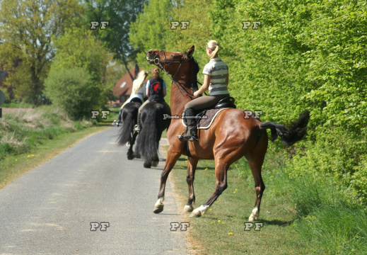 Reiterinnen o.H Straße Pferd scheut steigt PR ok (6)