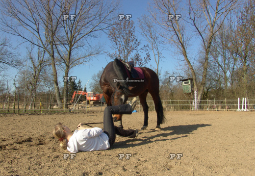 Sturz vom Pferd ohne Helm   gestellt (2)