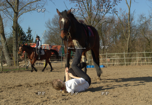 Sturz vom Pferd ohne Helm   gestellt (3)