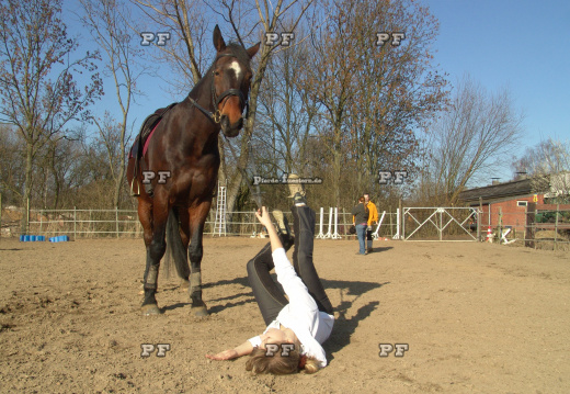 Sturz vom Pferd ohne Helm   gestellt (4)