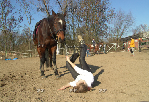 Sturz vom Pferd ohne Helm   gestellt (5)
