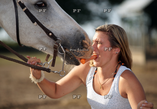Pferd Mädchen Karotte nah 5936