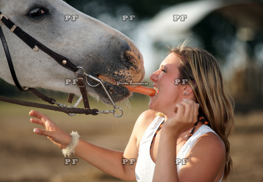 Pferd Mädchen Karotte nah 5940