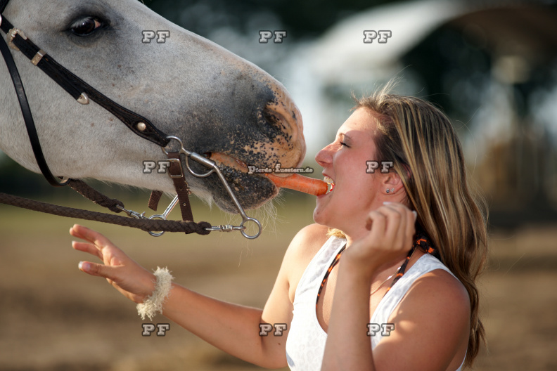 Pferd Mädchen Karotte nah 5940.JPG