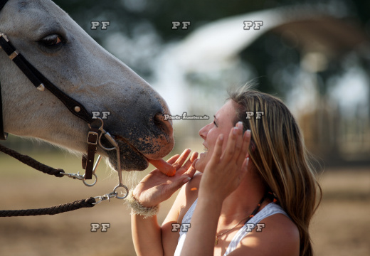 Pferd Mädchen Karotte nah 5944