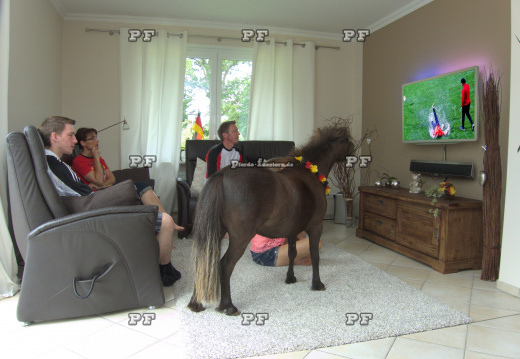 Fußball EM Frauen Pony Fernseher 88