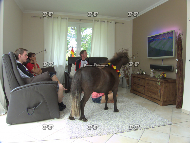 Fußball WM Pony Fernseher 88.jpg