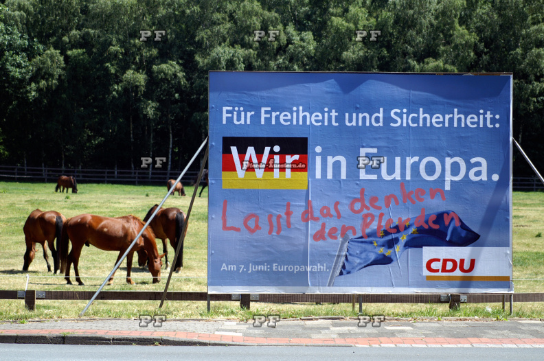 Wahlplakat CSU Graffity Pferde 5.jpg