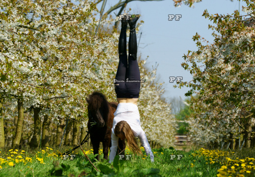 Gymnastik mit Pony DSC06954