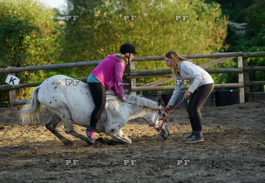 Pony Training + Zirzensik 11-  (19)