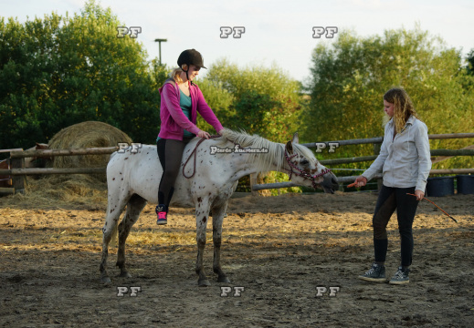 Pony Training + Zirzensik 11-  (18)