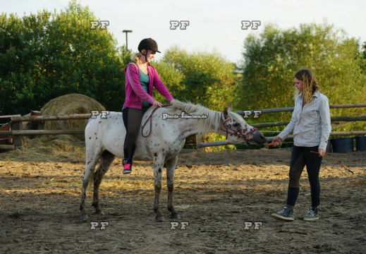 Pony Training + Zirzensik 11-  (17)