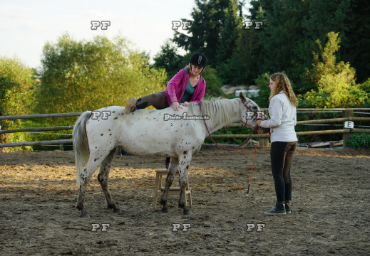 Pony Training + Zirzensik 11-  (15)