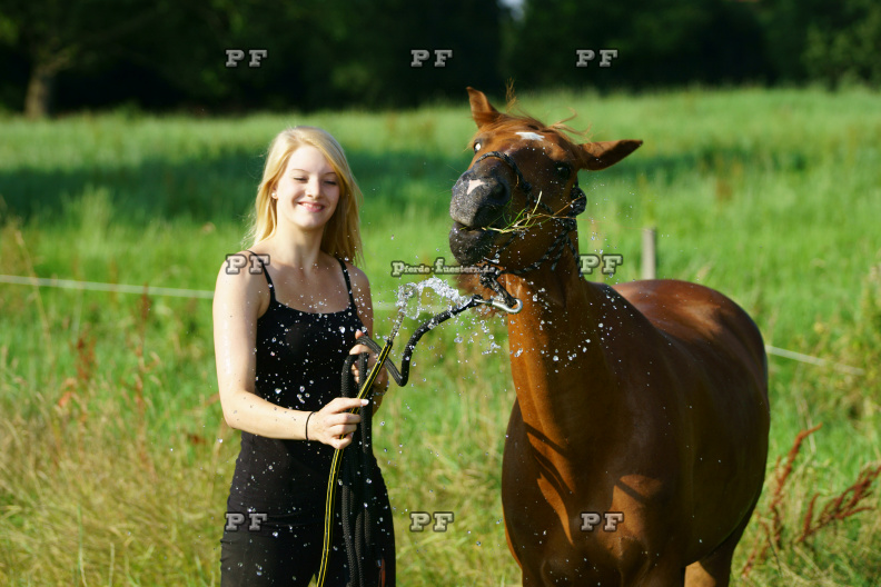 Pferd Mädchen Schlauch Wasser Humor  11 (1).JPG