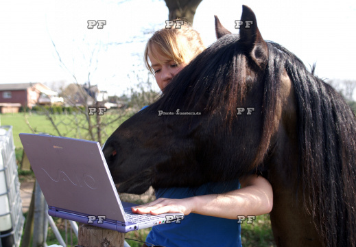 Pferd Laptop Mädchen Humor 13