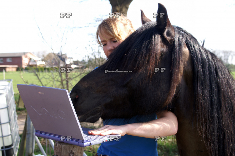 Pferd Laptop Mädchen Humor 13.jpg