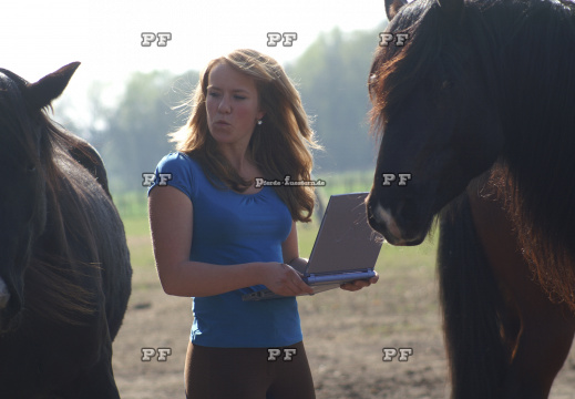 Pferd Laptop Mädchen Humor     (4)