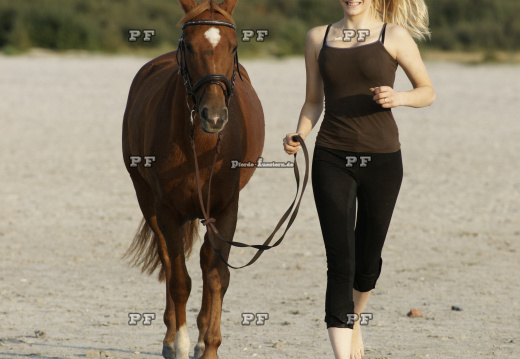 Jogging mit Pferd Ostsee Travemünde