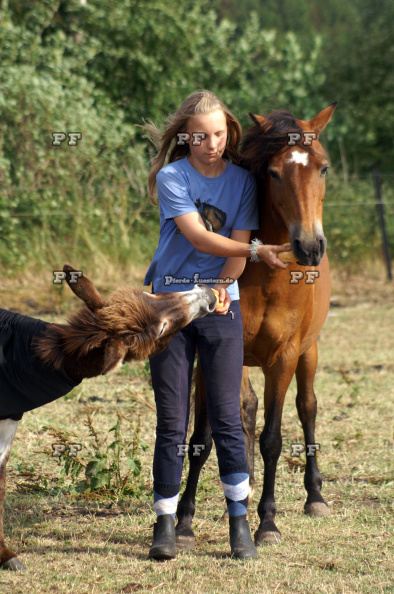 Kind Mädchen Pferd Esel 134.JPG