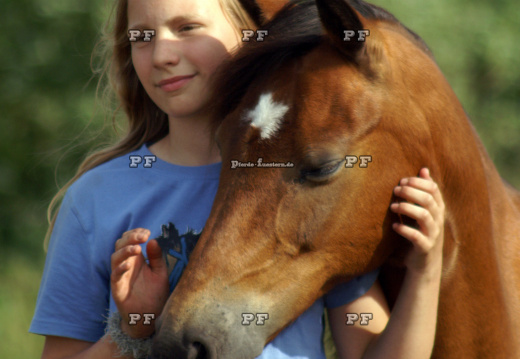 Kind Mädchen Pferd ICT0098