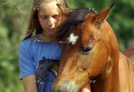Kind Mädchen Pferd ICT0113