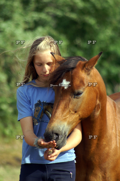 Kind Mädchen Pferd ICT0113.JPG