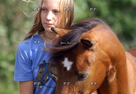 Kind Mädchen Pferd nah 114
