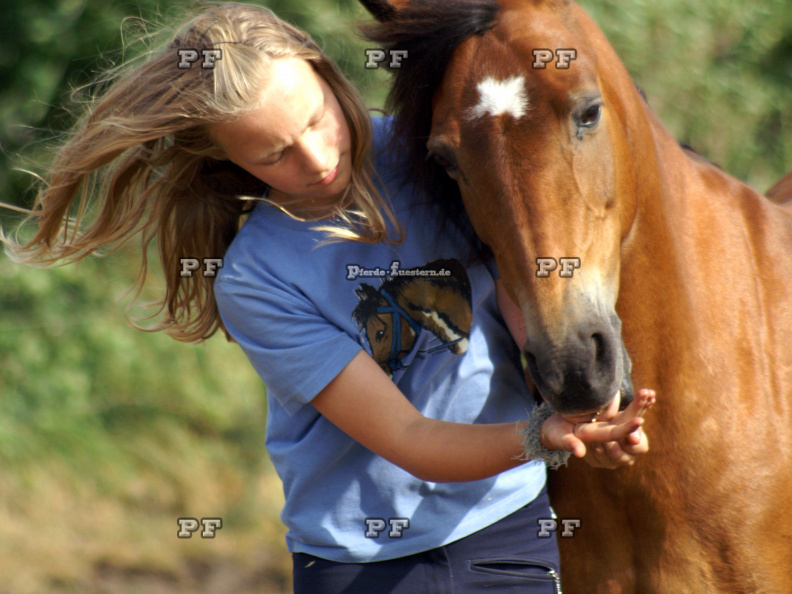 Mädchen Pferd füttern 107