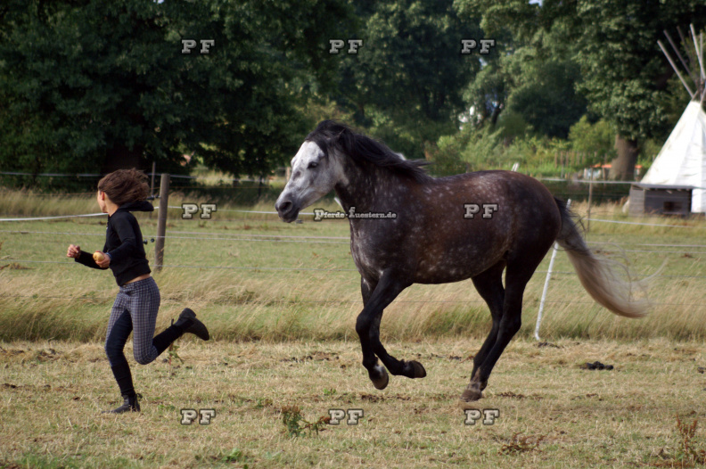 Mädchen Pferd Weide spielen Gefahr PICT0162.JPG