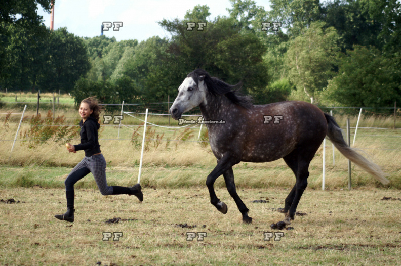 Mädchen Pferd Weide spielen Gefahr PICT0165.JPG