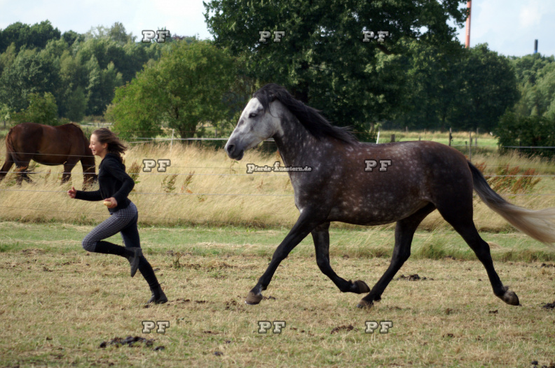 Mädchen Pferd Weide spielen Gefahr PICT0167.JPG