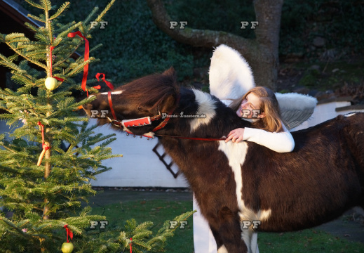 Pony Weihnachtsbaum 4157 (2)